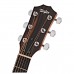 Taylor 210ce Acoustic Guitar